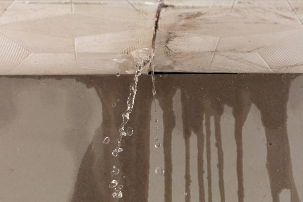 Professional Water Extraction technician working in Brilliant, AL